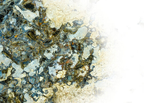 Pale yellow lichen growing on a coarse grained biotite rich rock fading to transparent

