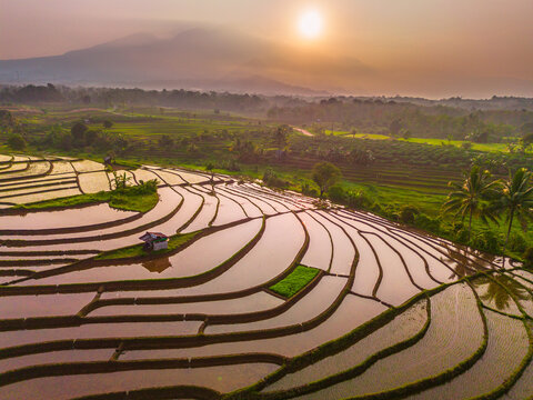 Aerial view of lush green rice terraces at sunrise with water reflecting the golden light and a misty mountain in the background in Wonosobo, Central Java, Indonesia.
