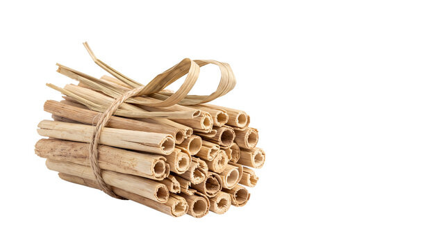Natural cinnamon sticks bundle tied with twine, aromatic spice quills for cooking and baking, organic brown cinnamon bark rolls isolated PNG with Transparent Background