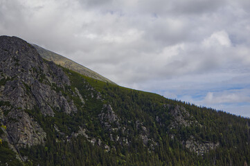 Obraz premium High Tatras steep mountain slope, dense coniferous forest (Picea abies), rocky cliff, dwarf pine (Pinus mugo), dramatic cloudy sky, Slovakia nature