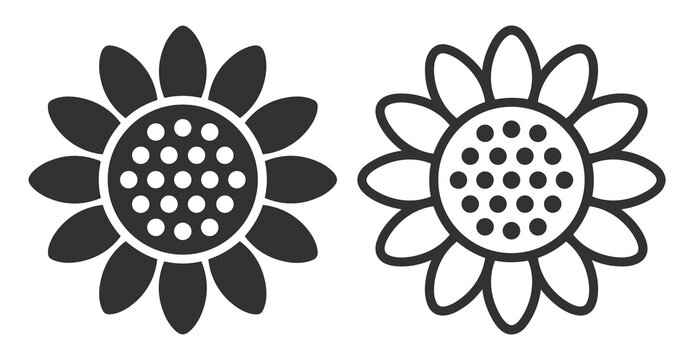 two sunflower icons vector illustration isolated on transparent background