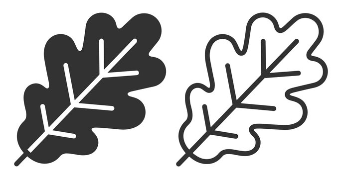 oak leaf vector icons in solid and outline styles on transparent background