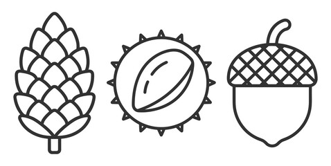 outline icons of pine cone chestnut with husk and acorn on transparent background © Artur