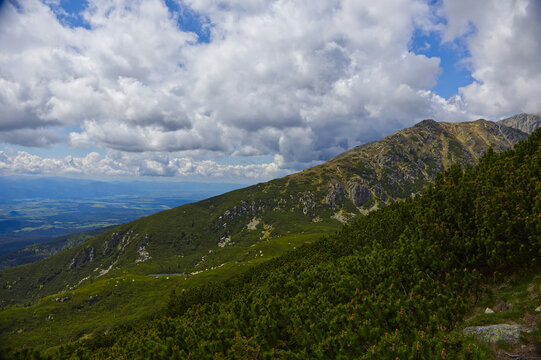 Rocky hiking trail in High Tatras mountains surrounded by dwarf mountain pine (Pinus mugo) under cloudy summer sky.