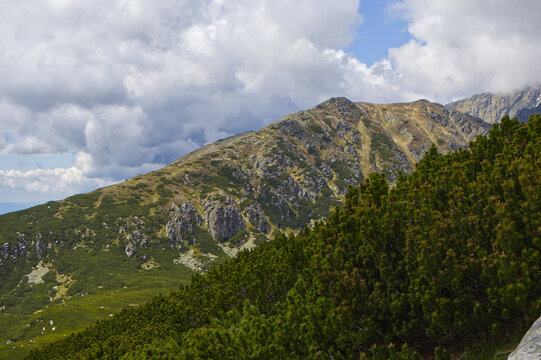 Rocky hiking trail in High Tatras mountains surrounded by dwarf mountain pine (Pinus mugo) under cloudy summer sky.