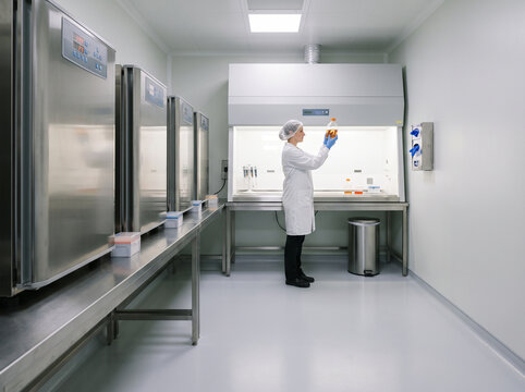 Technician inspecting a culture flask at a biosafety cabinet in a lab