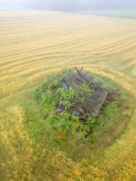 Aerial view of a collapsed wooden barn overgrown with green vegetation, surrounded by a vast field under a blanket of morning fog in Oulu, North Ostrobothnia, Finland.