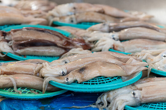 Fresh squid displayed in turquoise baskets at a traditional street market in South Korea.