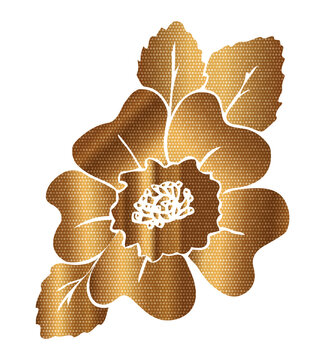 t-shirt print design, illustration of floral t-shirt design. abstract golden color graphic design for apparel clothing . transparent PNG for light and dark color background.