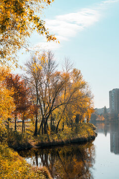 Scenic urban lakeside landscape in autumn with golden trees, calm water reflections and residential buildings under a bright blue sky. Fall city park, recreational area