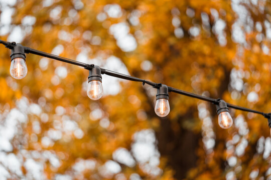 Outdoor string light bulbs on golden autumn foliage with soft bokeh background. Cozy seasonal cafe and patio decor for fall festivals, Thanksgiving, Halloween, garden parties and outdoor celebrations.