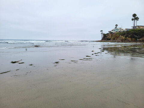 Beach at Tourmaline Surf Park meets gentle ocean waves under an overcast sky near cliffs