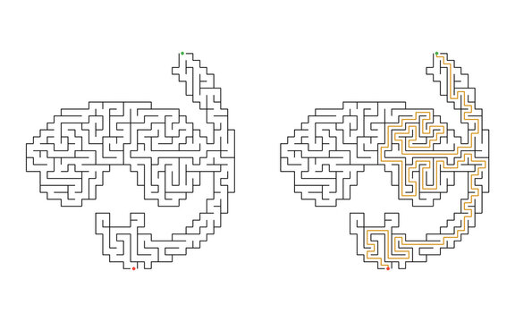 Diving mask shaped maze puzzle with start and finish points and solved path displayed beside the unsolved version, medium difficulty