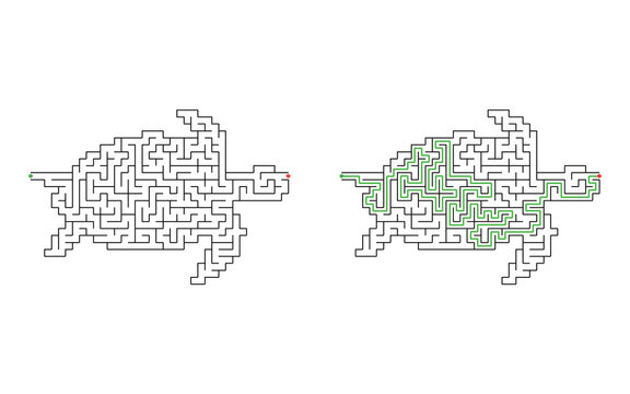 Turtle shaped maze puzzle with start and finish points and solved path displayed beside the unsolved version, medium difficulty
