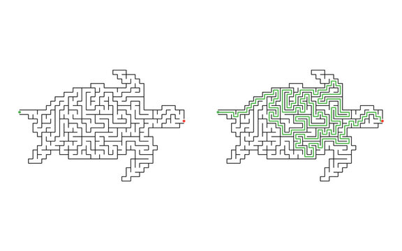 Turtle shaped maze puzzle with start and finish points and solved path displayed beside the unsolved version, mid difficulty