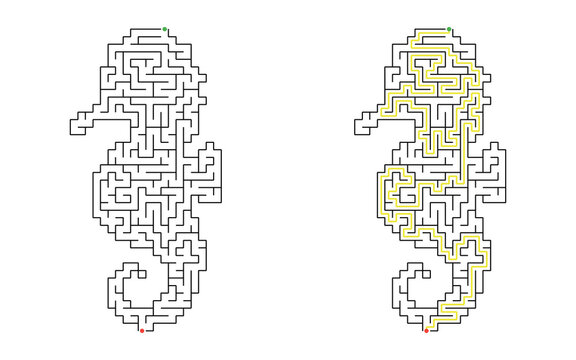 Seahorse shaped maze puzzle with start and finish points and solved path displayed beside the unsolved version, medium difficulty