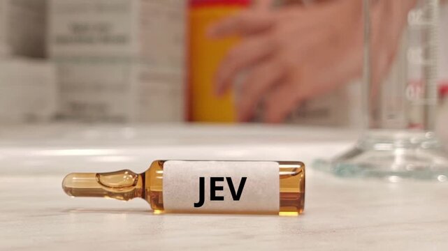 JEV abbreviation for Japanese encephalitis virus, associated with vaccination and prevention of Japanese encephalitis