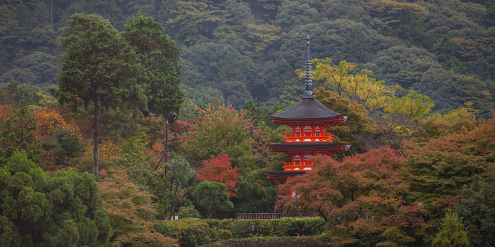 View of a traditional red pagoda nestled among lush green and autumn-colored trees in a forest in Japan.