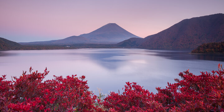 View of Mount Fuji rising above a calm lake with vibrant red foliage in the foreground under a soft twilight sky in Japan.