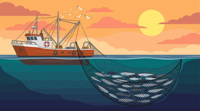 Commercial fishing boat illustration showing large trawling net, school of swimming fish and scenic ocean sunset, representing seafood industry growth and marine resource harvesting