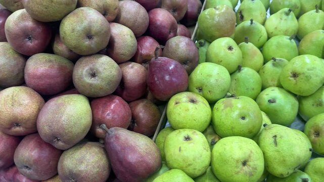 Different varieties of fresh pears displayed together, showing a variety of colors, shapes and textures of this popular fruit.