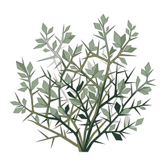 Fototapeta premium Minimalist Vector Illustration of a Wild Green Plant Bush with Sharp Thorns Isolated on White Background for Botanical Design Projects