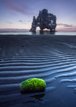View of Hvitserkur sea stack rising from the black sand beach with rippled patterns and a moss-covered rock in the foreground under a soft twilight sky in Iceland.