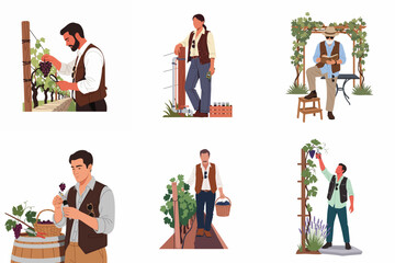 Set of Minimalist Vector Illustrations of Vineyard Workers Harvesting Grapes, Winemaking Professionals, Sommelier Tasting Wine, and Viticulture Farmers in Rural Orchard Setting