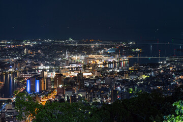 Obraz premium Night view of Tokushima city center from the summit of Mount Bizan.