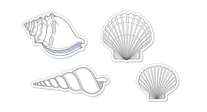 Minimalist seashell and shell vector illustration with a clean outline of a scallop conch and spiral snail for marine projects