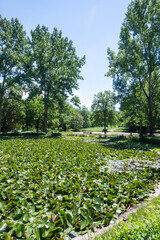 Fototapeta premium Landscape of Borisova gradina in city of Sofia, Bulgaria