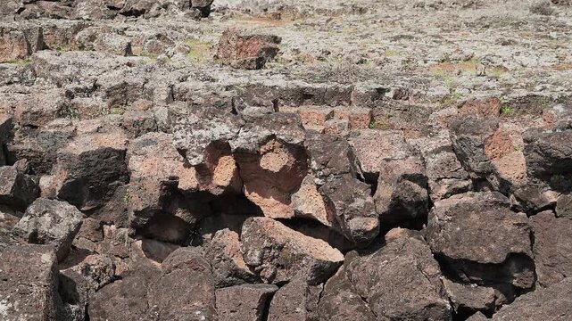 Basalt lava plain with porous volcanic rocks and sparse vegetation forms a harsh landscape.