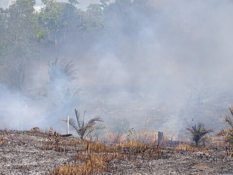 Thick plumes of white smoke billowed high into the air due to forest and land fires, creating dense smoke that reduced visibility and triggered acute respiratory infections (ARI).