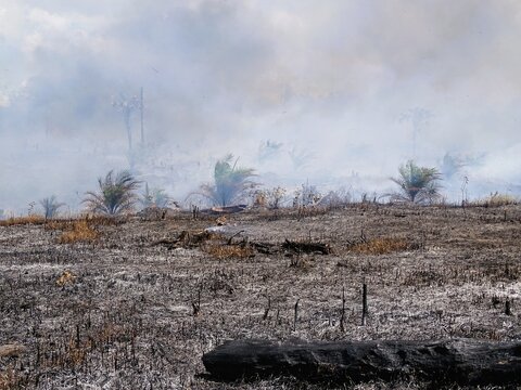 Thick plumes of white smoke billowed high into the air due to forest and land fires, creating dense smoke that reduced visibility and triggered acute respiratory infections (ARI).