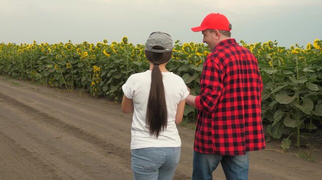 Agriculture, teamwork, business partner farmer agriculture, handshake sign of deal, harvest, fresh soil grow crops, smile face, agriculture, handshake sign of deal, agribusiness workers, family