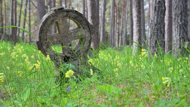 Ancient stone cross gravestone in a forest cemetery on Vormsi Island, Estonia