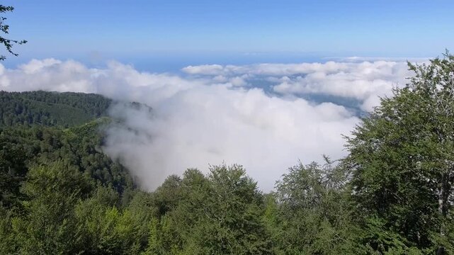 Aerial forested mountains above clouds in the Bolivia Yungas, lush misty highland landscape.