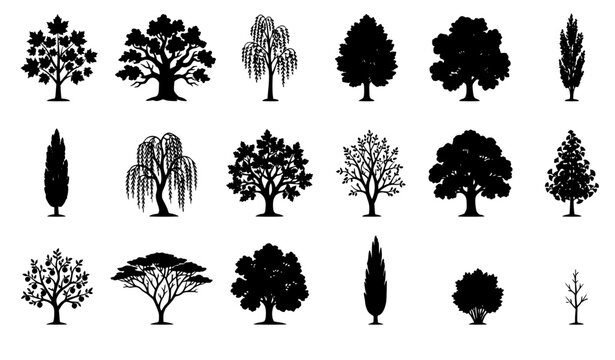 Fall trees black silhouette icon set with maple oak birch and autumn forest trees
