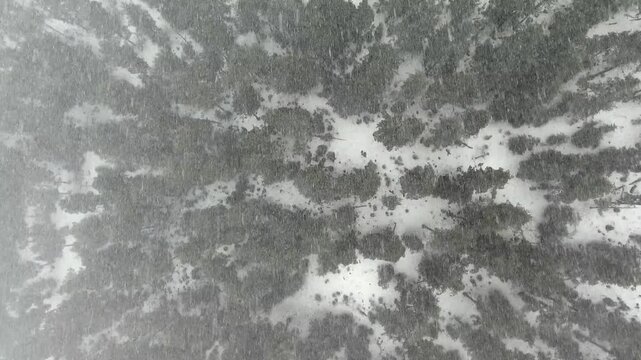 Aerial snowy mountains above forest valley in winter in Dinaric Alps, calm alpine panorama.