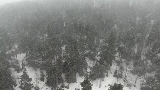 Aerial snowy mountains above forest valley in winter in Dinaric Alps, calm alpine panorama.