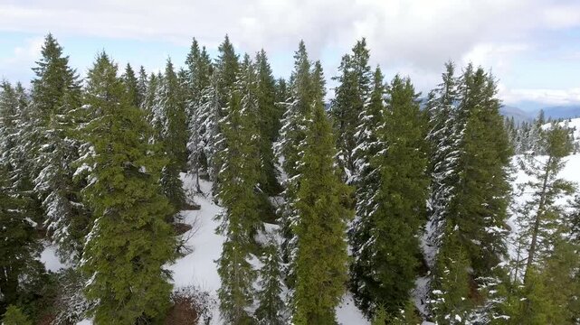 Snowy Eastern Black Sea Mountains in Rize Turkey rise above forests and cloud valleys.