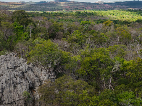 Aerial view of Ankarana Special Reserve featuring jagged limestone karst formations rising through the dense green forest canopy under bright daylight in Diana, Madagascar.