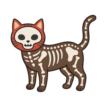 Cute Halloween Skeleton Cat Vector Illustration Isolated
