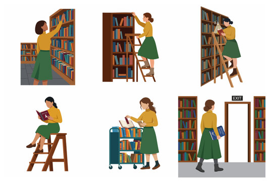 Flat illustration set of a woman in a library or bookstore, librarian organizing bookshelves and student reading books on a ladder.