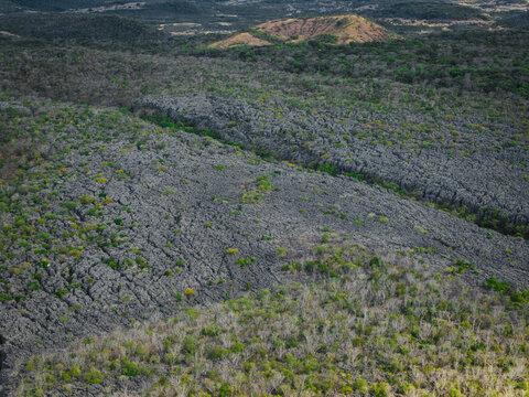 Aerial view of the jagged limestone karst formations of the tsingy in the Reserve speciale d'Ankarana, surrounded by dry forest and patches of green vegetation in Diana, Madagascar.