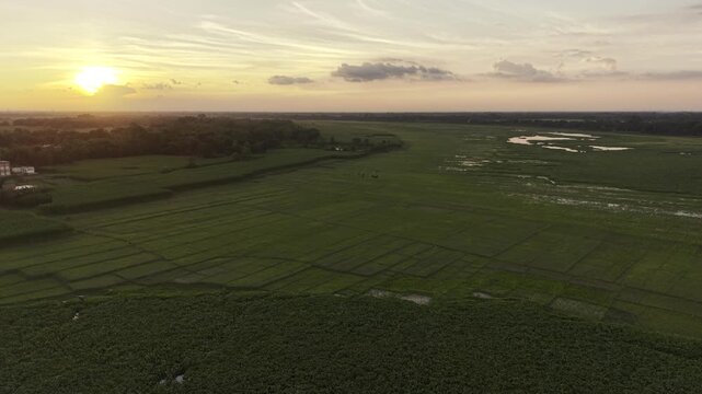 Aerial drone footage showing the expansive landscape of Ujan Gram Big Beel in rural Bangladesh, with green fields, scattered water patches, and a setting sun on the horizon.