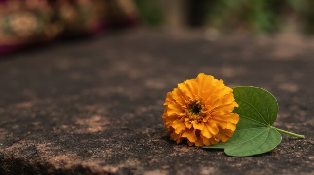 Orange marigold flower with green leaf on stone surface representing worship, tradition, and spirituality in Hindu rituals