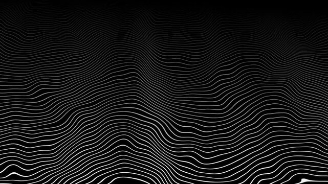 Abstract 4k motion graphics video featuring dynamic black contour lines creating flowing topographic waves, digital terrain patterns, and seamless geometric textures on a white background.