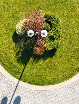 Aerial view of a lamp post with two spherical lights surrounded by lush green bushes and autumn foliage, creating a pareidolia effect resembling a face in an urban landscape in Belgrade, Serbia.