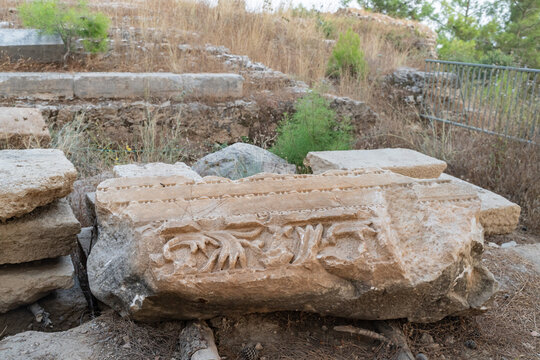 Ancient Carved Stone Fragment with Floral Ornament at Archaeological Site